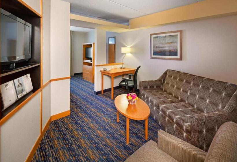 سوئیت با تخت بزرگ, Fairfield Inn & Suites By Marriott Toronto Brampton
