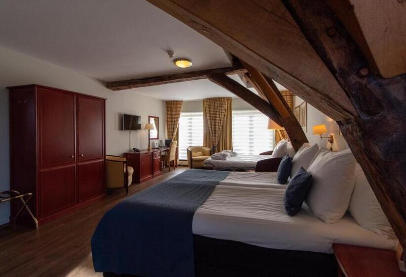سوئیت جونیور خانوادگی, Grand Hotel En Résidence De Draak