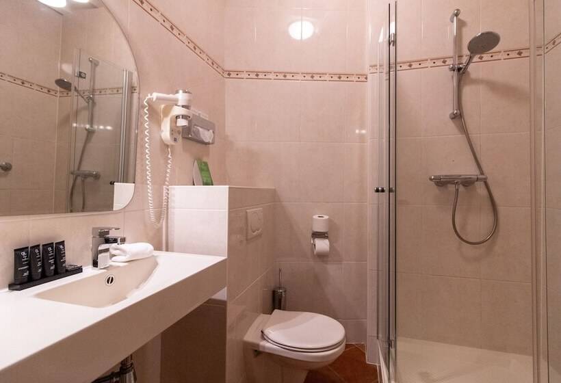 اتاق لوکس یک تخته, Grand Hotel En Résidence De Draak