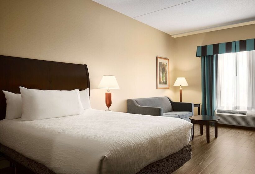 اتاق استاندارد, Hilton Garden Inn Toronto Vaughan
