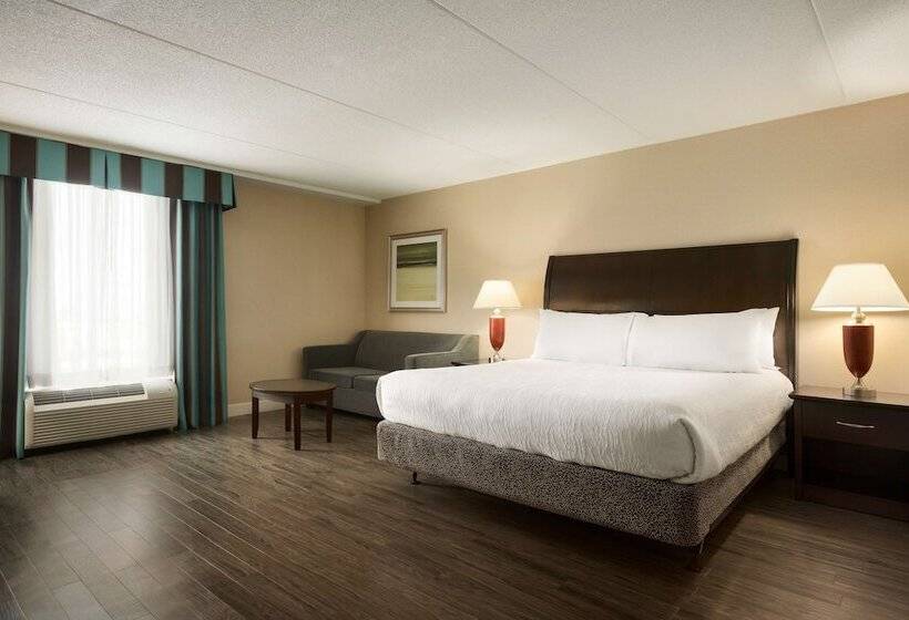 Standard Room, Hilton Garden Inn Toronto Vaughan