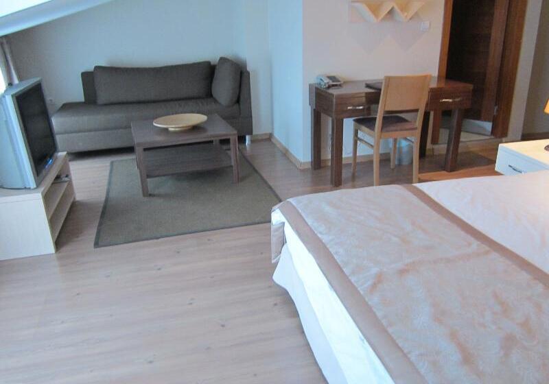 اتاق استاندارد, Qubus Hotel Zielona Góra