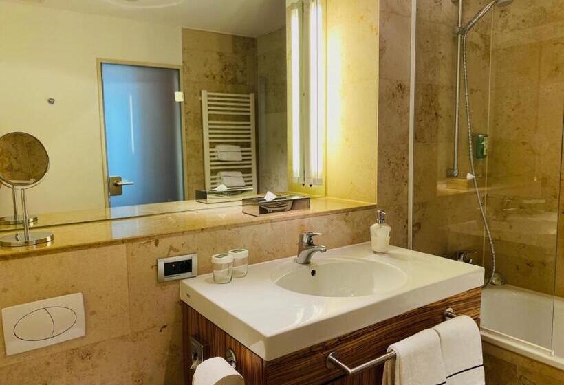 اتاق سوپریور یک تخته, Achat Hotel Regensburg Herzog Am Dom