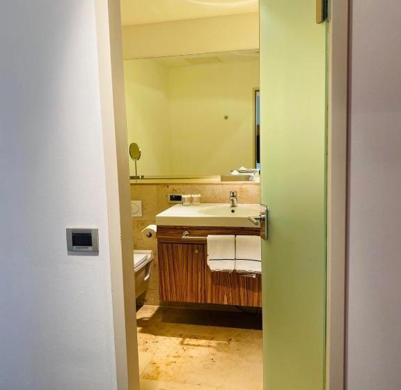 اتاق سوپریور یک تخته, Achat Hotel Regensburg Herzog Am Dom
