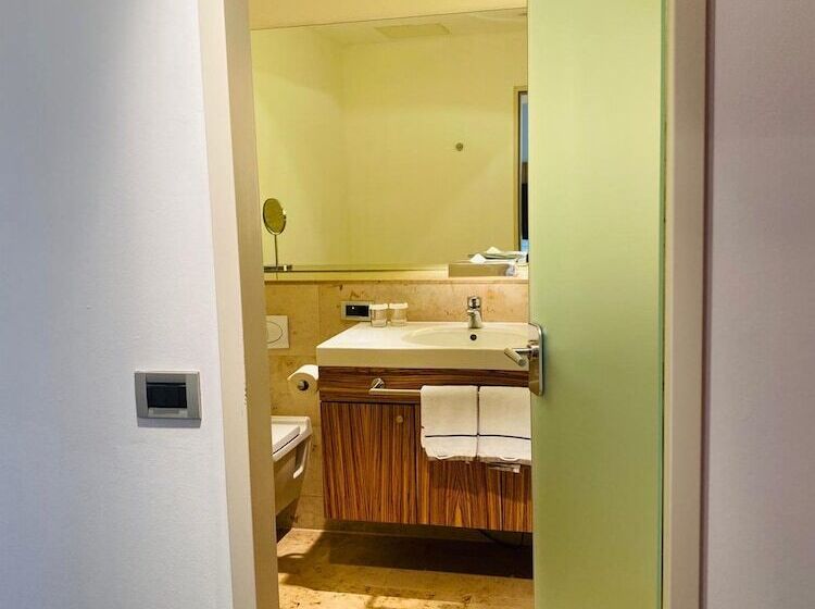اتاق سوپریور یک تخته, Achat Hotel Regensburg Herzog Am Dom