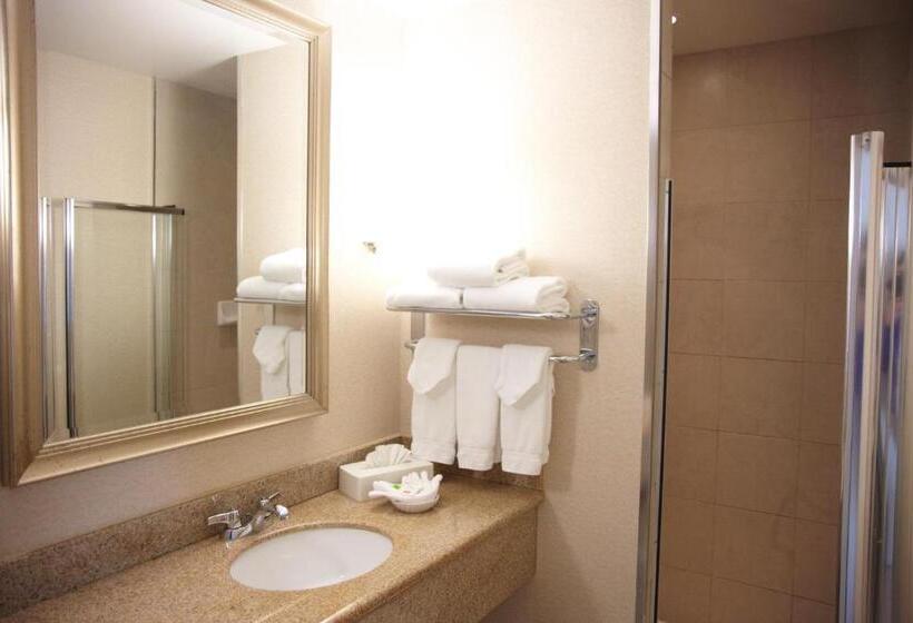 חדר סטנדרט עם מיטת קינג, Admiral Inn Mississauga