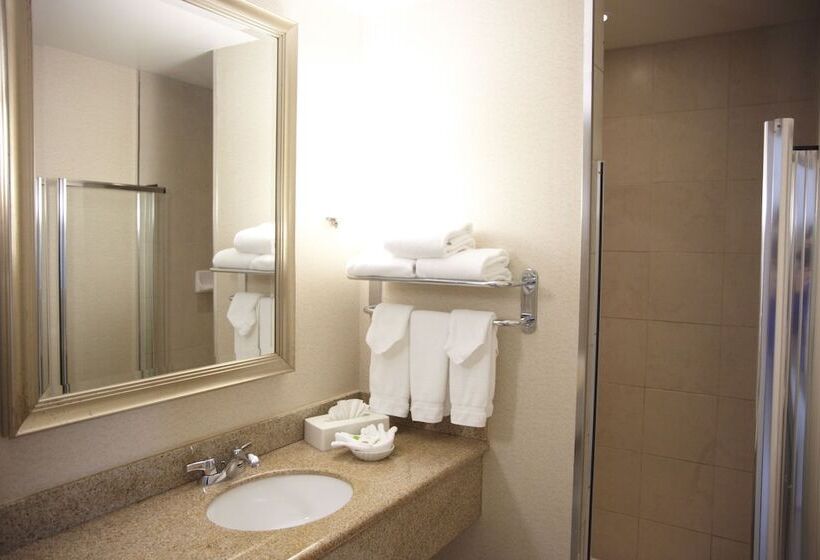 חדר סטנדרט, Admiral Inn Mississauga