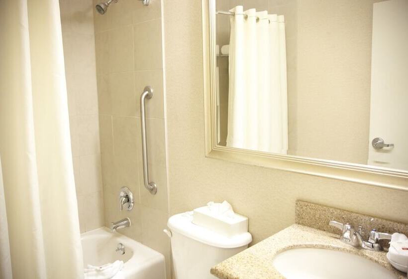 חדר סטנדרט, Admiral Inn Mississauga