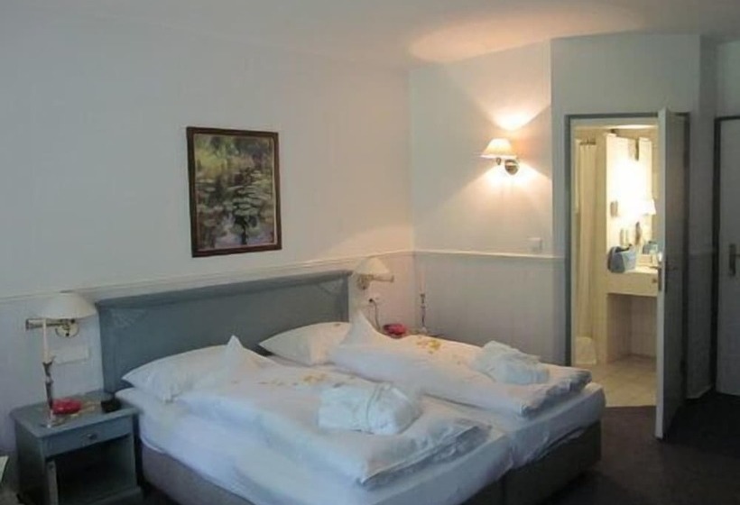اتاق استاندارد, Emsland Hotel Saller See
