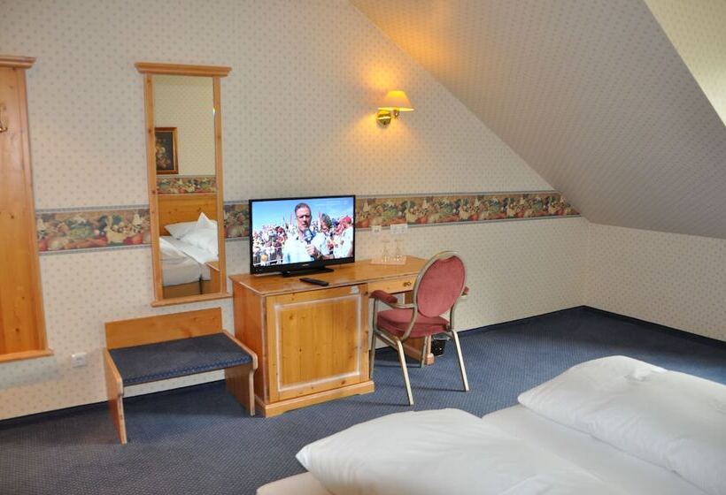 اتاق استاندارد, Emsland Hotel Saller See