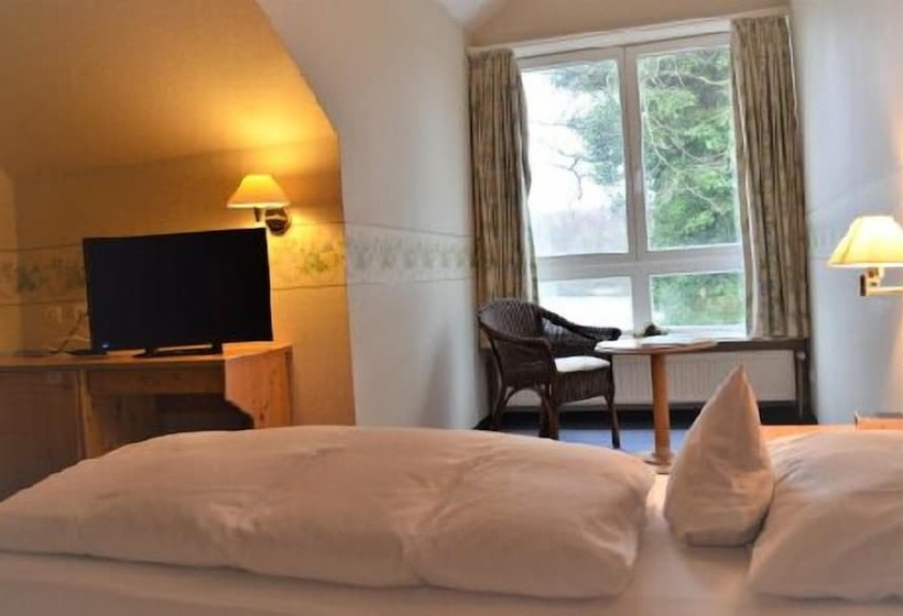 اتاق استاندارد یک نفره, Emsland Hotel Saller See