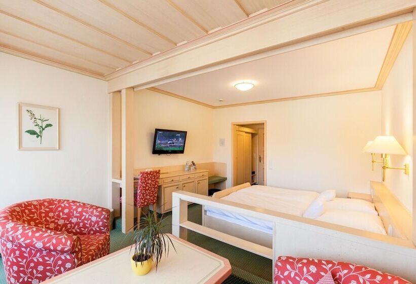 اتاق سوپریور, Landgasthof Hotel Hirsch