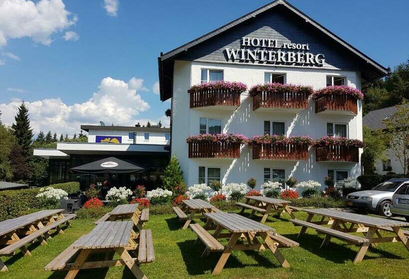 Habitación Estándar, Winterberg Resort