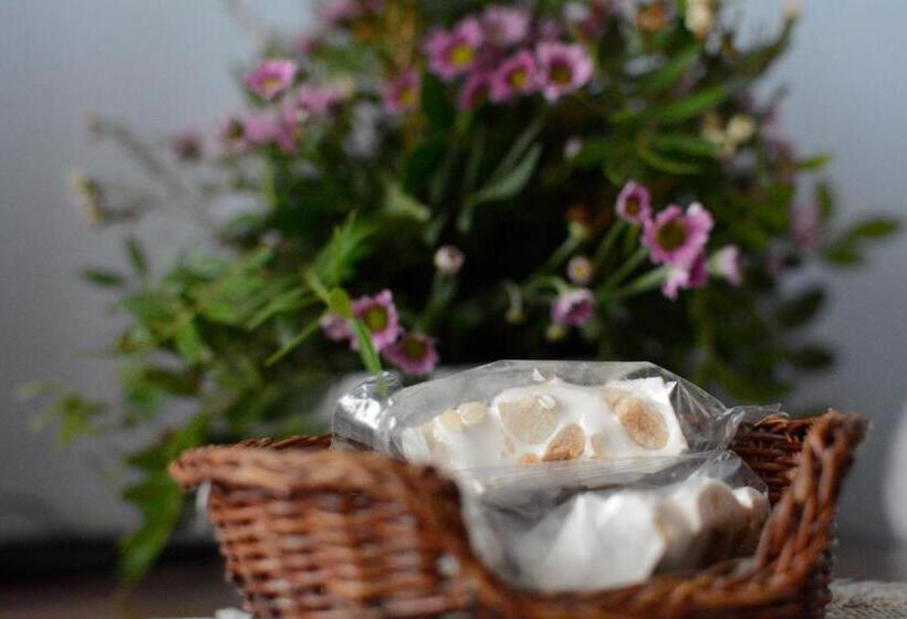 اتاق استاندارد چهار تخته, Funtana Noa