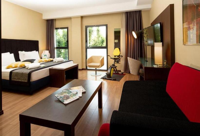 اتاق خانوادگی, Holiday Inn Turin Corso Francia, An Ihg