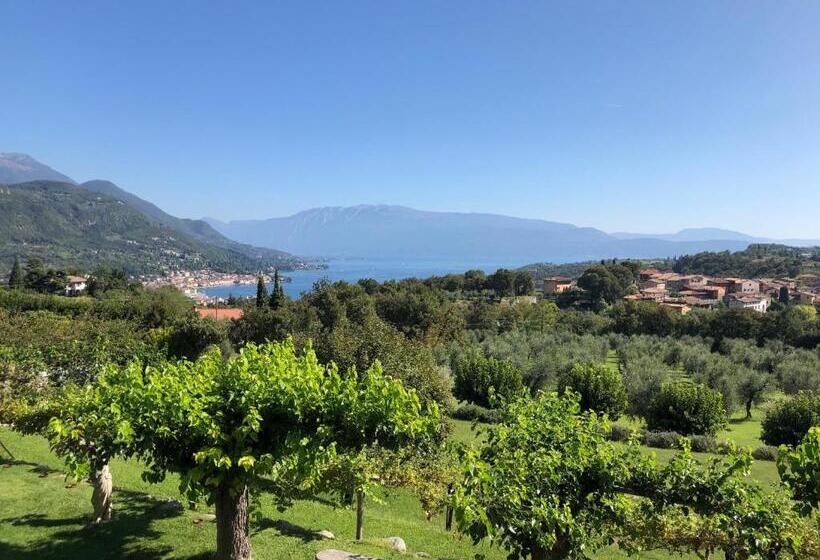 سوییت, Villa Arcadio