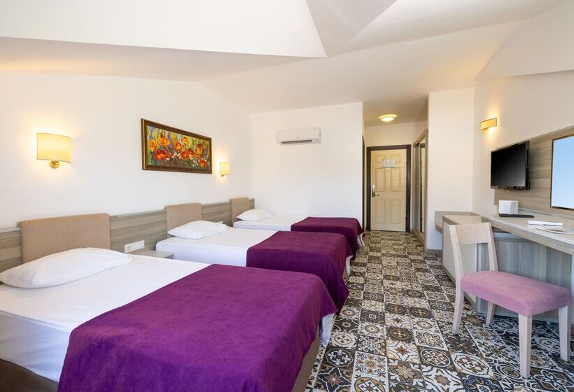 اتاق استاندارد, Crystal Aura Beach Resort & Spa   Ultimate All Inclusive