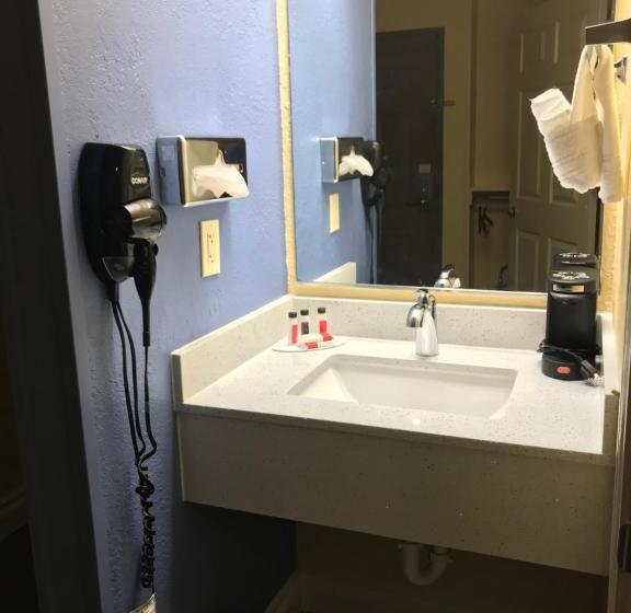 Camera Standard Letto King Accessibile ai persone con mobilità ridotta, Days Inn By Wyndham San Antonio Airport