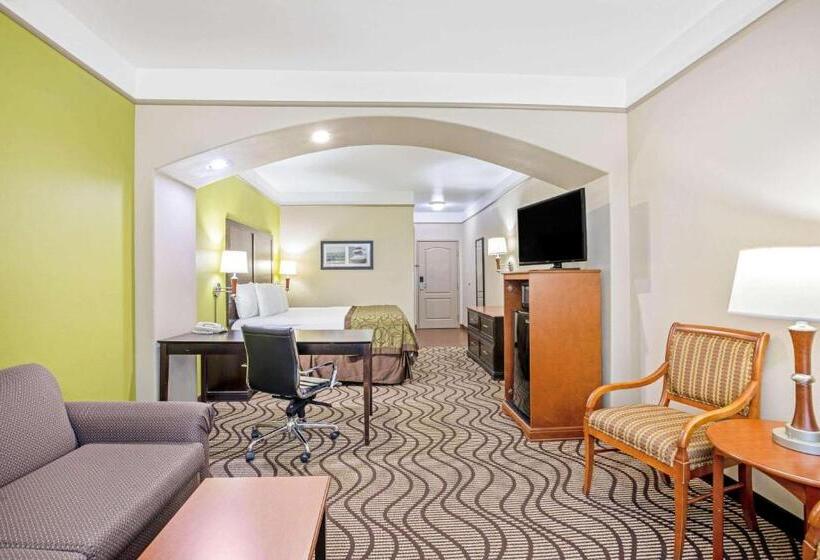 带大床的标准间, La Quinta By Wyndham Corpus Christi Airport