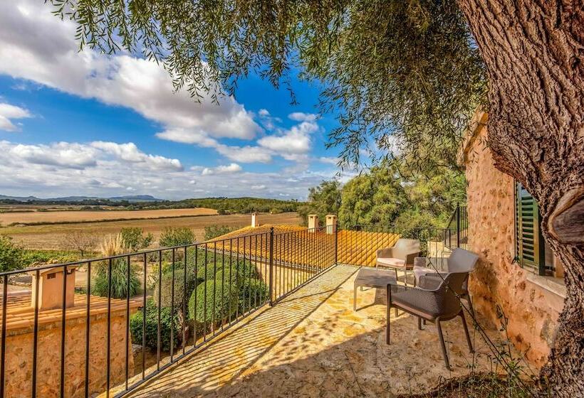 اتاق استاندارد, Finca Son Roig by Valentin