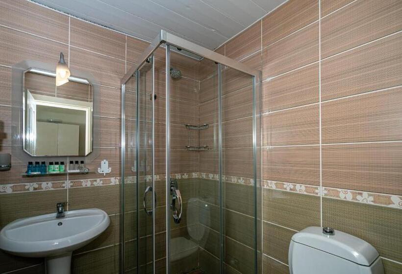 اتاق اکونومی, Tu Casa Gelidonya