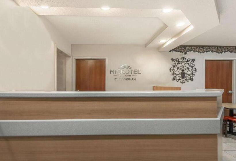 اتاق دلوکس مخصوص معلولین, Microtel Inn & Suites By Wyndham Auburn