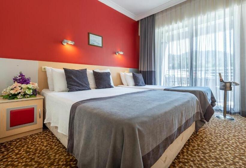اتاق استاندارد با چشم‌انداز استخر, Grand Viking Hotel   All Inclusive