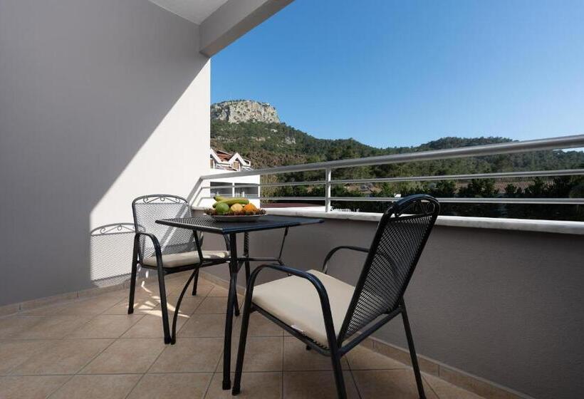 اتاق استاندارد با چشم‌انداز باغ, Grand Viking Hotel   All Inclusive