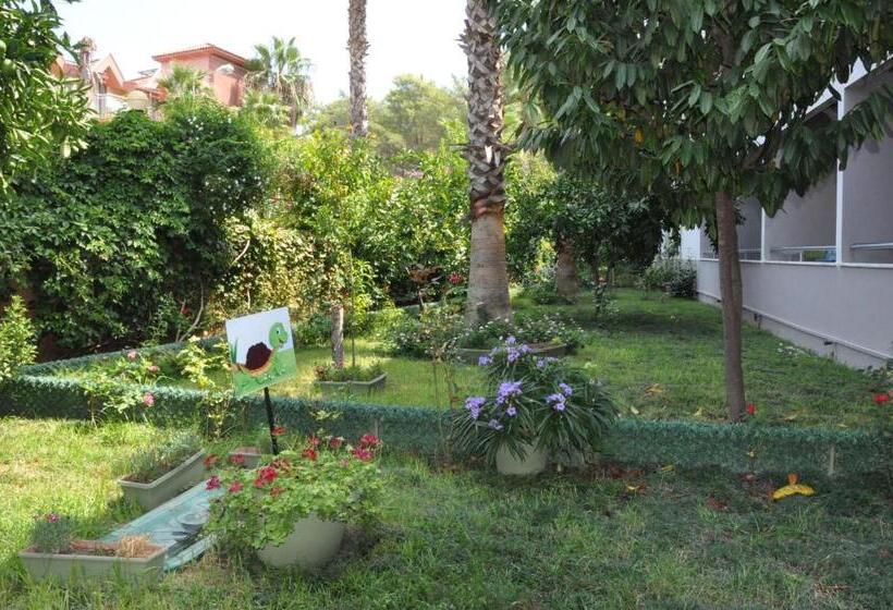 اتاق استاندارد با چشم‌انداز باغ, Grand Viking Hotel   All Inclusive