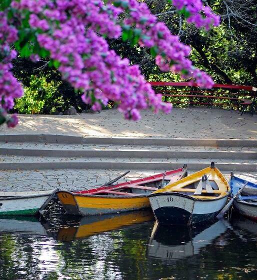 اتاق استاندارد, Do Lago