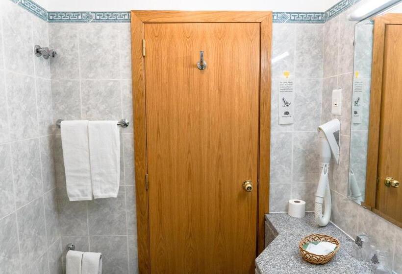 اتاق خانوادگی, Estrela Da Idanha