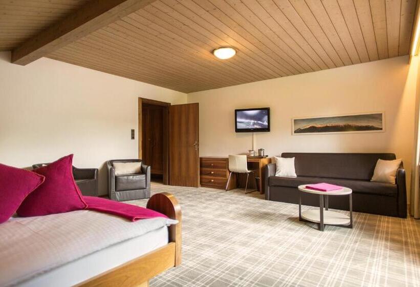 اتاق استاندارد چهارنفره با بالکن, Garni Römerhof