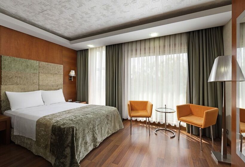 اتاق استاندارد, Limak Ambassadore Hotel Ankara