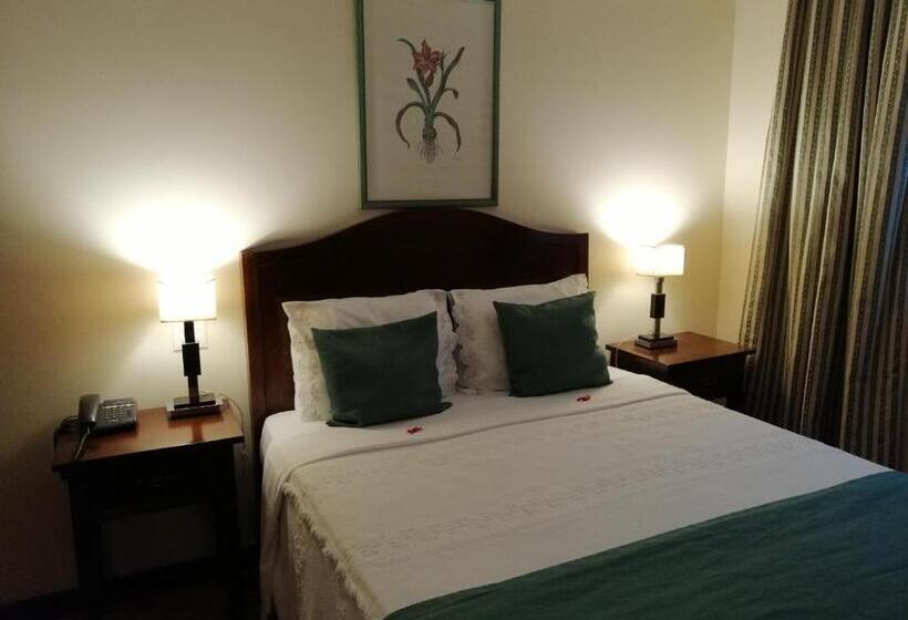 اتاق اکونومی, Vera Cruz Porto Downtown