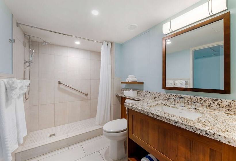 آپارتمان 1 خوابه با چشم‌انداز دریا, Hilton Vacation Club Royal Palm St. Maarten
