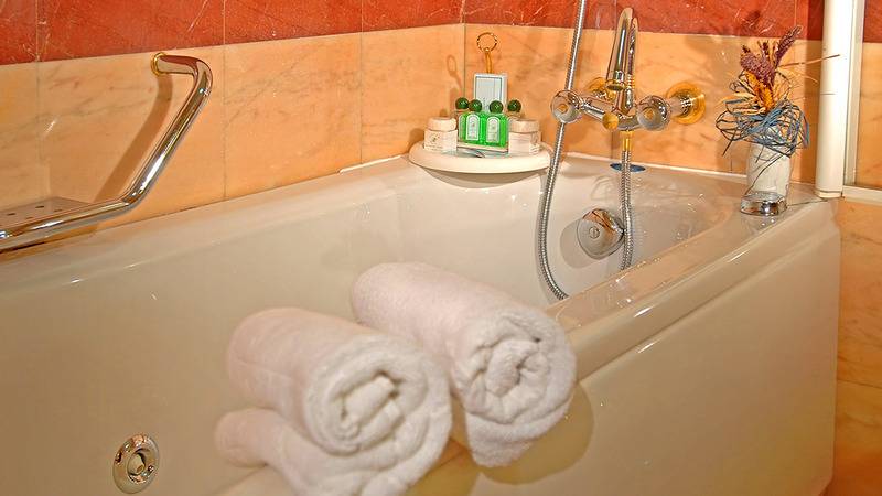 اتاق استاندارد, Aleksandar Palace Hotel Congress Center & Spa