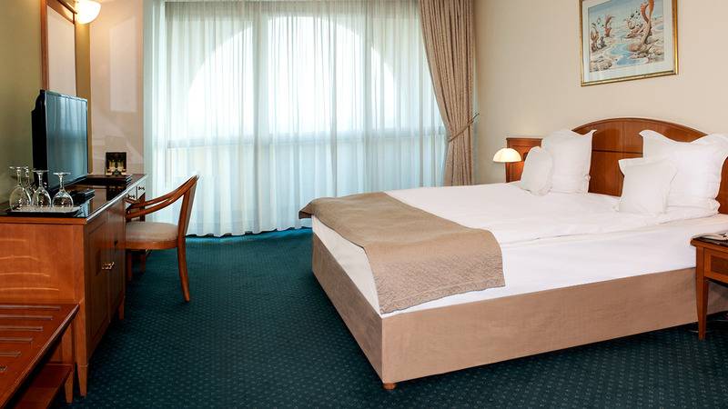 اتاق استاندارد, Aleksandar Palace Hotel Congress Center & Spa