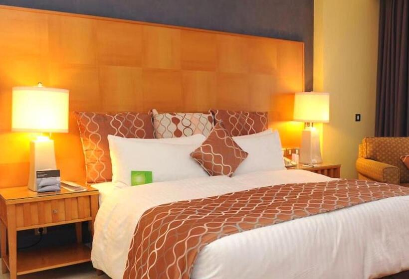اتاق استاندارد, Intercontinental Aqaba, An Ihg