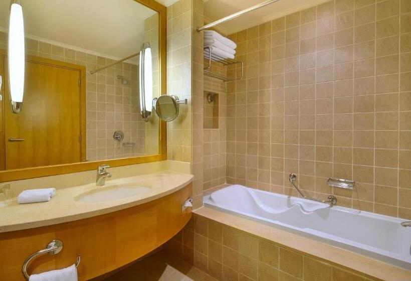 اتاق کلاسیک با تخت دونفره, Intercontinental Aqaba, An Ihg
