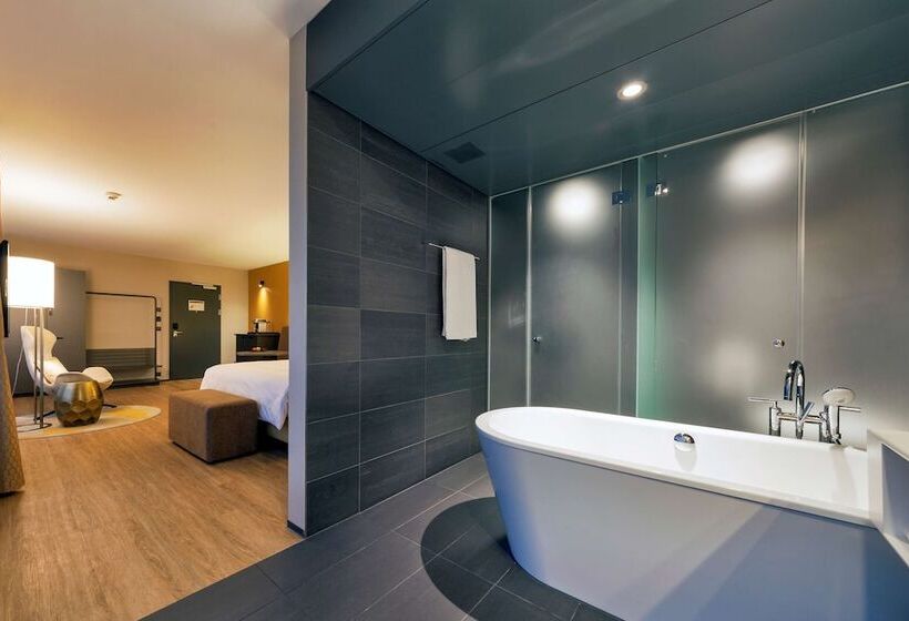اتاق پرمیوم, Radisson Blu Hotel, Lucerne