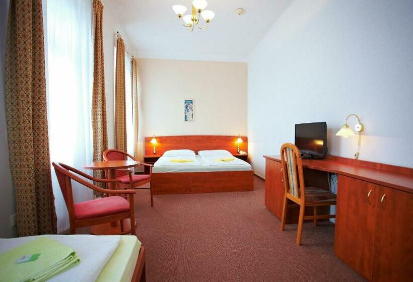 اتاق استاندارد یک نفره, Wellness Hotel Central