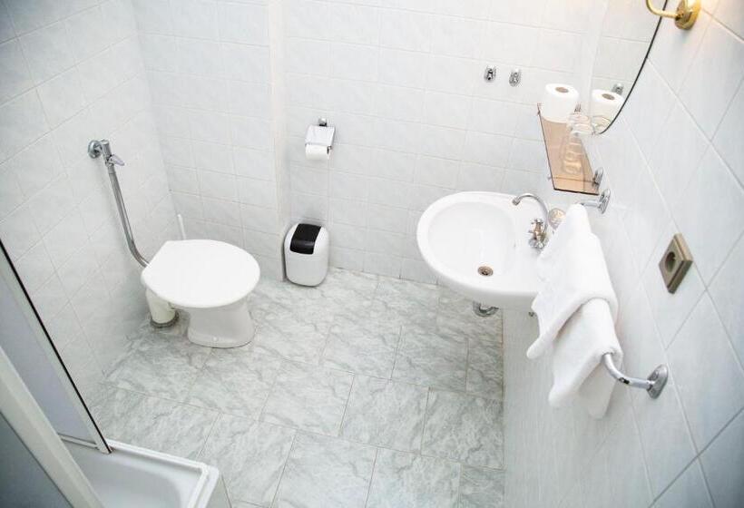 اتاق استاندارد, Wellness Hotel Central