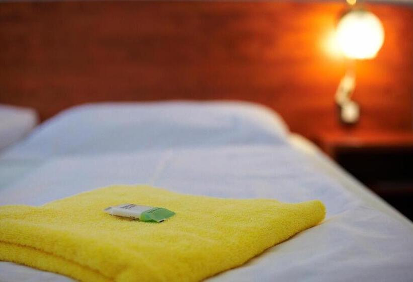 اتاق استاندارد, Wellness Hotel Central