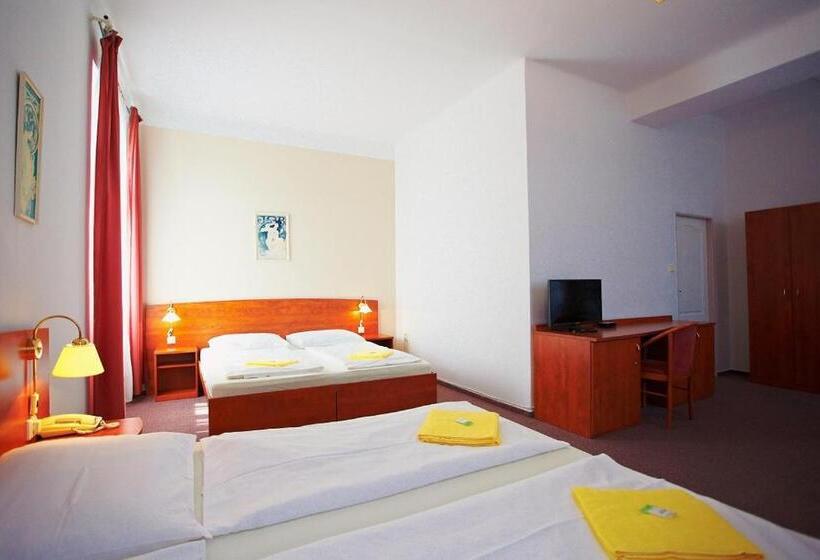 اتاق استاندارد چهار تخته, Wellness Hotel Central