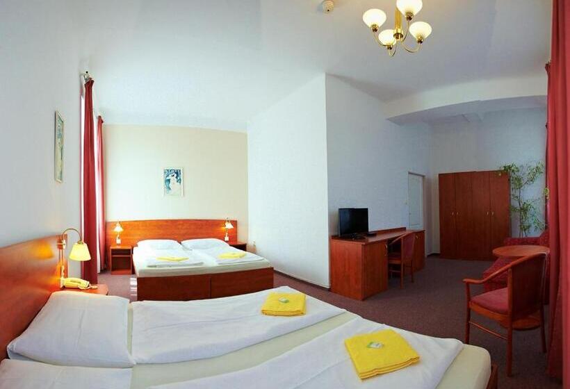 اتاق استاندارد چهار تخته, Wellness Hotel Central