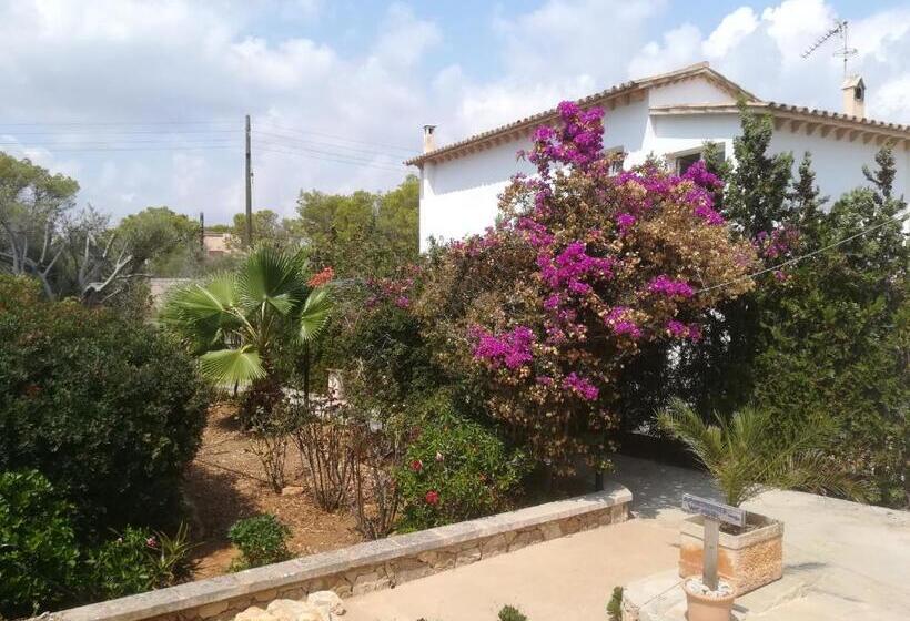 استودیوی لوکس, Apartamentos Villa Primera