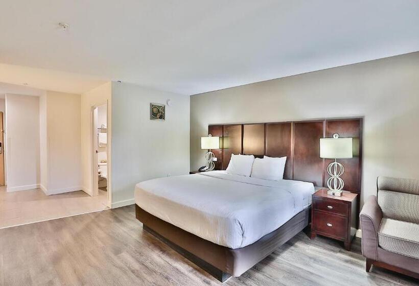 חדר דלוקס עם מיטת קינג, Baymont By Wyndham Tucson Airport