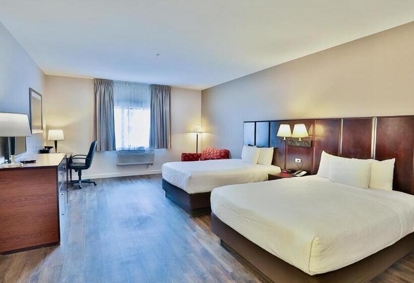 חדר סטודיו סטנדרד, Baymont By Wyndham Tucson Airport