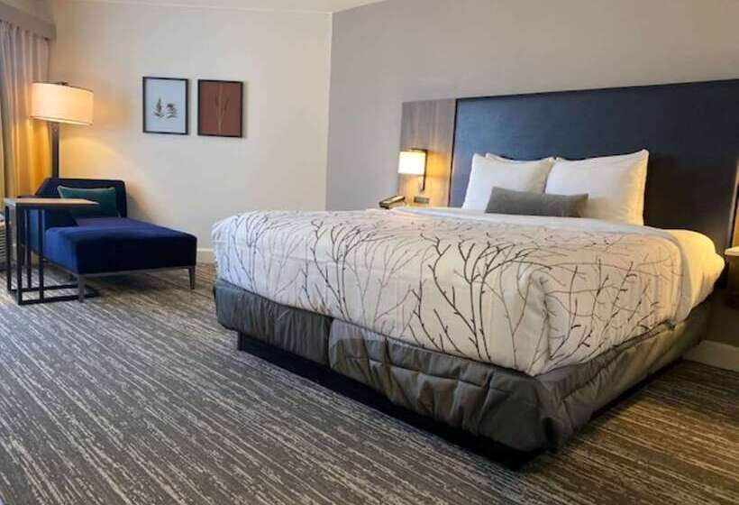اتاق استاندارد با تخت دوبل برای معلولان, Best Western Premier Denver East