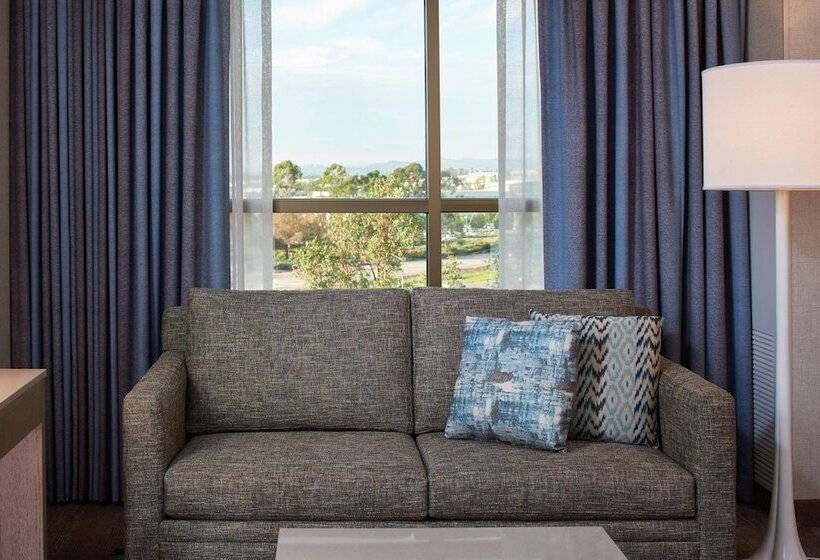 اتاق دلوکس مخصوص معلولین, Doubletree By Hilton Irvine   Spectrum